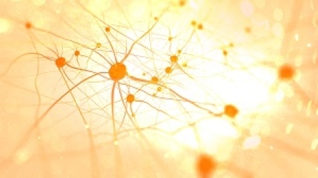 ¿Influyen las hormonas en lo que hacemos? Los efectos en la salud física y mental