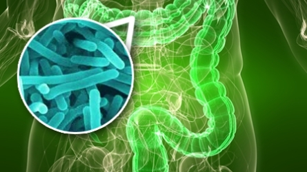 Mikrobioen mundu liluragarria Mikrobioen mundu liluragarria