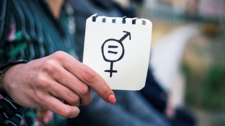 El avance del feminismo y del envejecimiento activo en la CAPV, en una Europa social en crisis El avance del feminismo y del envejecimiento activo en la CAPV, en una Europa social en crisis