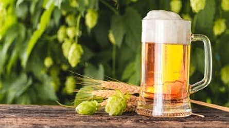 2019 Cerveza Artesana / Craft Beer 2019 Cerveza Artesana / Craft Beer