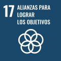 17. Alliances to achieve the objectives