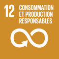 12. Responsible production and consumption