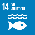 14 - Vie aquatique marine